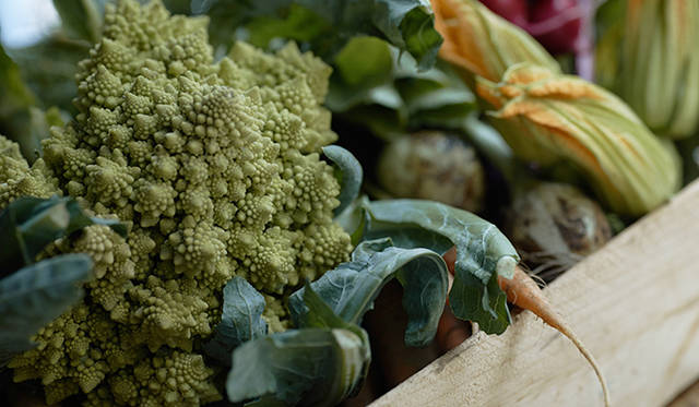 pirouette_665_45 「須永農園」から届いた野菜