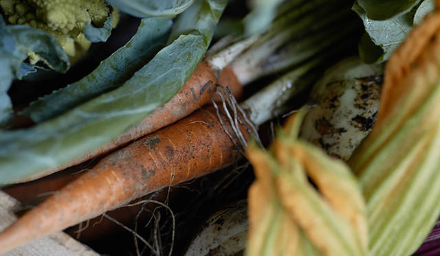 pirouette_665_43 色も味も濃い「須永農園」のニンジン