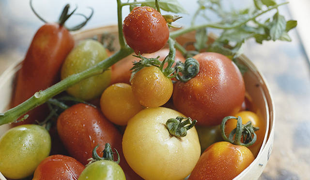 pirouette_665_47 形も色もさまざまなトマト