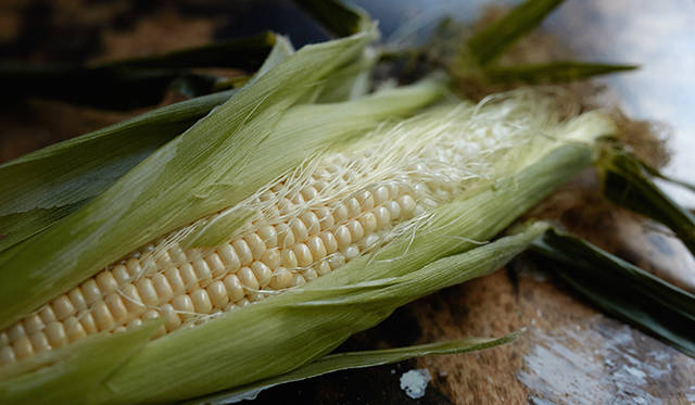 pirouette_665_52 トウモロコシは、優しい甘みが特徴