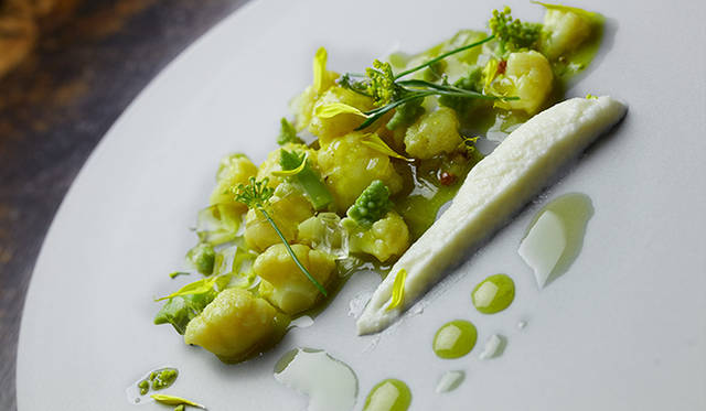 pirouette_665_26 試作メニュー。カリフラワーを使った「須永農園渾身のカリフラワー 香り高いグレックとピュレ」。オリーブオイルで煮たカリフラワー、ピュレにしたカリフラワーと、2種類のカリフラワーの味を楽しめる一皿。カレー粉(今回はターメリック)とカリフラワーという、フランス料理では定番の組み合わせを採用している