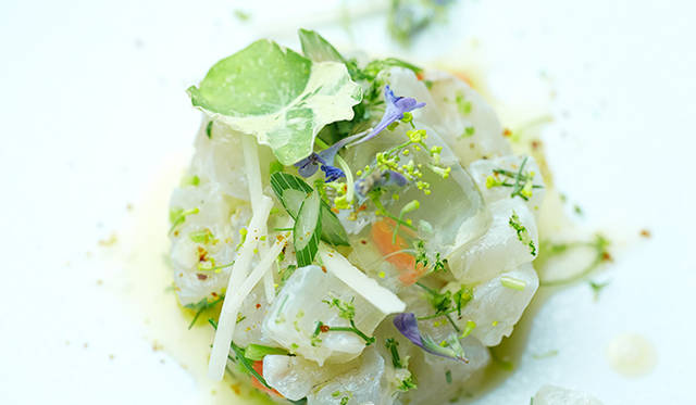 pirouette_665_29 試作メニュー。長崎産の新鮮なスズキを使った「五島列島スズキのタルタル」。味付けは塩、良質なオリーブオイル、香り高いハーブ有機レモンと、とてもシンプル。「ピルエット」の素材へのこだわりが垣間見れる一皿だ