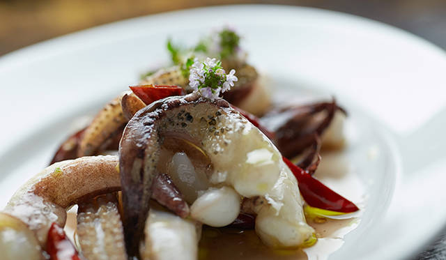 pirouette_665_40 試作メニュー。素材をダイレクトに使い、おいしさを最大限に引き出すバスク料理のスピリットを受け継ぐ「イカのソテー バスク風」。新鮮なイカをセージやタイム、ニンニク、レモン、バスク風唐辛子と一緒にさっとソテーした、シンプルな一皿だ