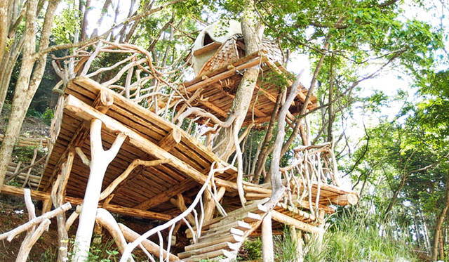 <strong>森の学校｜C.W.ニコル</strong>　「Tree Dragon」はツリーハウスの第一人者、小林 崇さん制作