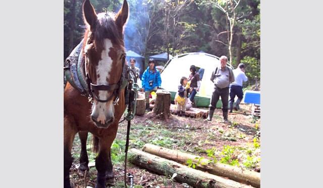 <strong>森の学校｜C.W.ニコル</strong>　岩手からやってきたホースロギングの馬