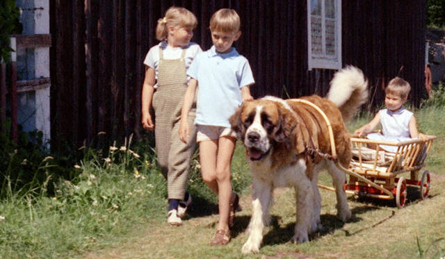 © 1964 AB SVENSK FILMINDUSTRI ALL RIGHTS RESERVED