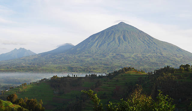 すべてのマウンテンゴリラに名前がつけられ、管轄する3つの国（ルワンダ、コンゴ、ウガンダ）がしっかりと保護している