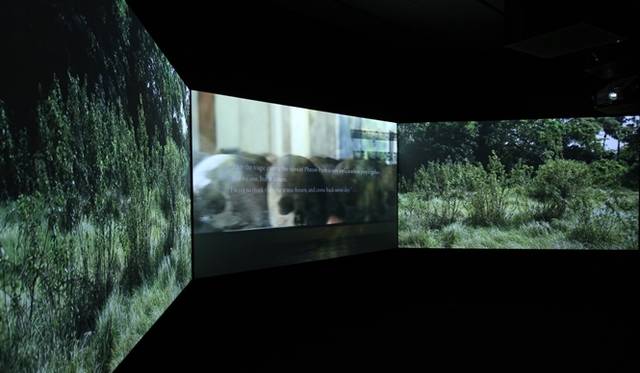 <strong>ART｜ユカ・ツルノギャラリーでEugene Kangawa『from the future』</strong>　展示の様子 《from the future》 2013年　video installation, Courtesy of Yuka Tsuruno Gallery