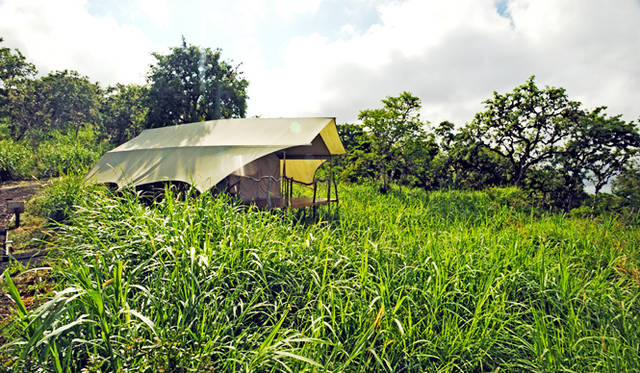 5.エクアドル・ガラパゴス諸島「Galapagos Safari Camp」