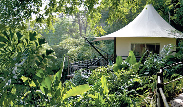 10. タイ・チェンセン「Four Seasons Tented Camp, Golden Triangle」
