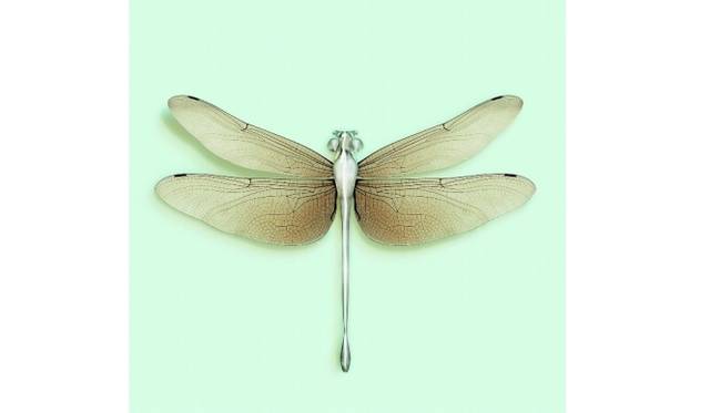 <strong>ART｜写真家ヴァンサン・フルニエによる『ARCHEOLOGY OF THE FUTURE-未来の考古学』</strong><br />©Vincent Fournier - DRAGONFLY [Chloromgonfus detectis] Volatile inorganic-sensitive animal.