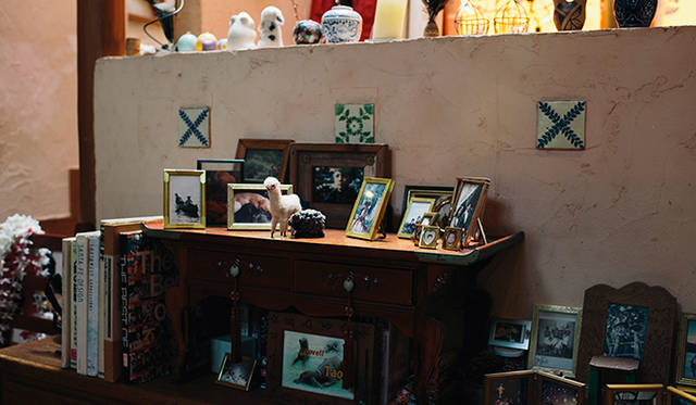 木村さんの家のリビングには、奥さんと3人の子供たちの写真が多数並んでいる