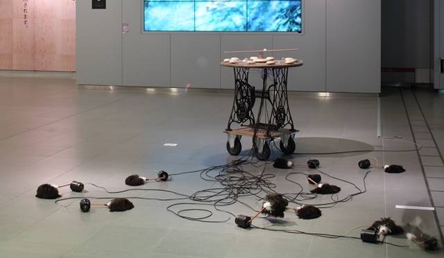 <strong>ART｜北海道の歩みをアートで振り返る『札幌国際芸術祭2014』</strong><br />毛利悠子《 サーカスの地中 》2014年photo:Keizo Kioku提供：創造都市さっぽろ・国際芸術祭実行委員会