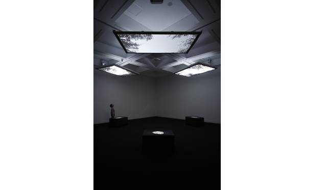 <strong>ART｜北海道の歩みをアートで振り返る『札幌国際芸術祭2014』</strong><br />平川祐樹《Vanished Forest》2014年photo:Keizo Kioku
