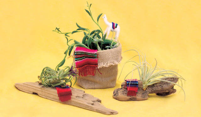 <strong>「¡ VIVA TITICACA ! ～チチカカ GIFT SHOP～」</strong>　東急プラザ表参道原宿にて9月5日（金）より期間限定ショップオープン