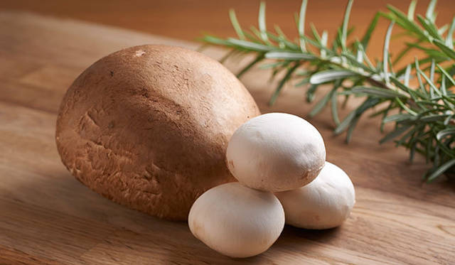 ベジタリアンに人気の「ポータベロマッシュルーム」