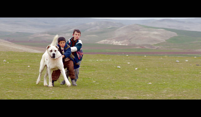 コンペティション部門　脚本賞：<br />ラクシャン・バニ＝エテマド＆ファリド・モスタファビ『Ghesseha (Tales)』　© la Biennale di Venezia - Foto ASAC© la Biennale di Venezia - Foto ASAC