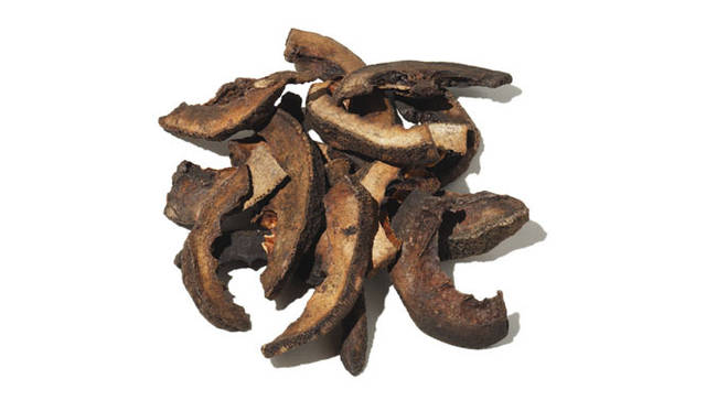 <strong>PLANTOLOGY｜プラントロジー</strong>　<strong>「INNER CLEANSE（インナークレンズ）」</strong><br>「ビターオレンジ」　ダイダイともよばれるビターオレンジは、身体をあたためながら健胃剤として消化不良、胃もたれ、胃痛などに効果があるといわれている