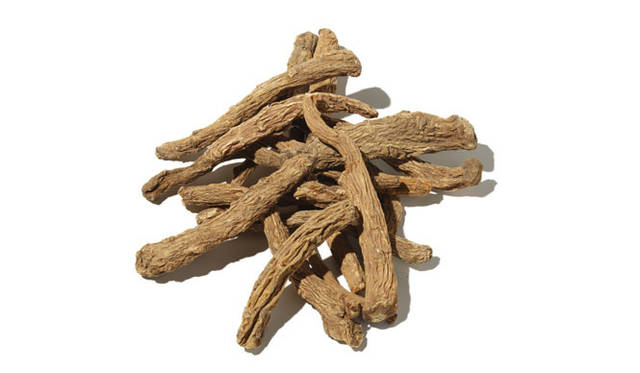 <strong>PLANTOLOGY｜プラントロジー</strong>　<strong>「INNER PEACE（インナーピース）」</strong><br>「当帰（angelica root）」　セリ科の植物で美容の女王と呼ばれる。血液不足や血行不良によって起こる冷えや生理不順、生理痛、また更年期障害にも効果があるといわれている