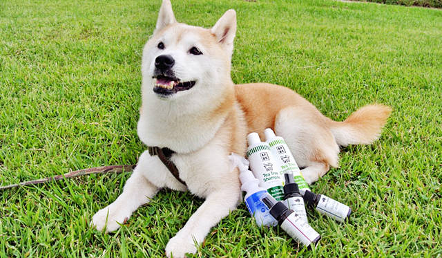 <strong>Takakura｜たかくら新産業</strong>　ペットにも飼い主にも快適で安全な最新アイテム