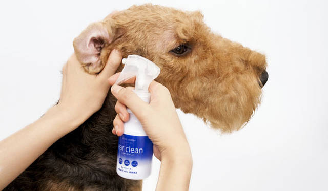 <strong>Takakura｜たかくら新産業</strong>　「kirei water（キレイウォーター）」イヤークリーン（2014年11月1日（土）正式発売）