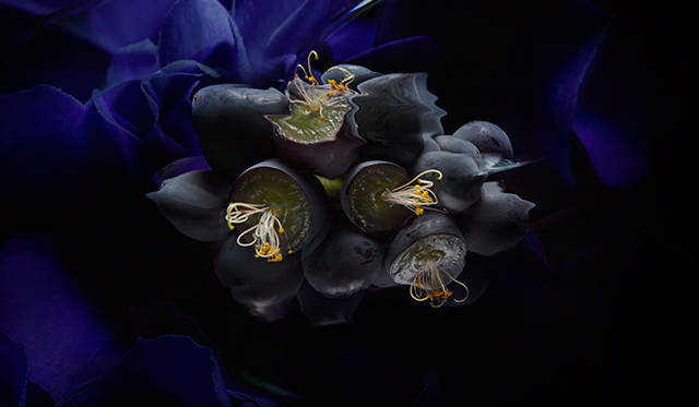 「scent of woman」（with Christian Dior haute couture） ／commons&sense ISSUE45（河出書房新社）／2013年 Photograph by Hiroshi Iwasaki