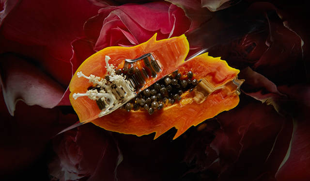 「scent of woman」（with Christian Dior haute couture） ／commons&sense ISSUE45（河出書房新社）／2013年 Photograph by Hiroshi Iwasaki