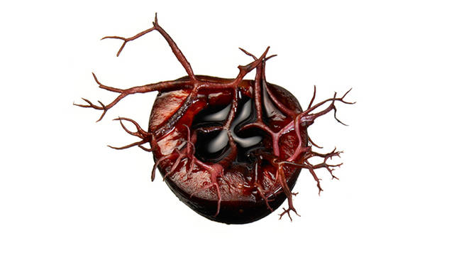 「後をひく悔しさとさらに怒りさえもこみ上げるテイスト」 Photograph by Hiroshi Iwasaki