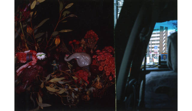 荒木経惟「切真」より C-print 54 x 78.5 cm 2014