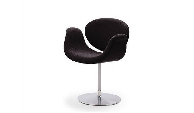 「Little Tulip」8万6400円