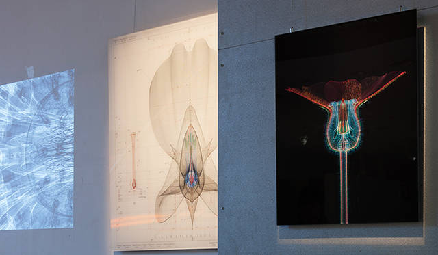 Any Tokyo 2013より、村山誠の「MIMIR Project Curation vol.1」