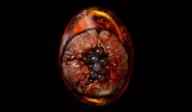 「嬉しさと胸騒ぎが入り交じったテイスト」 Photograph by Hiroshi Iwasaki