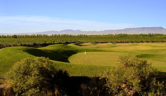 7. アルゼンチン・メンドーサ「Algodon Wine Estate」