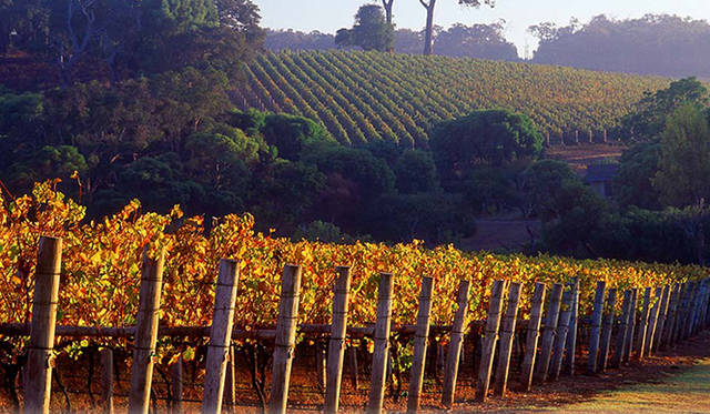 8. オーストラリア・西オーストラリア「Cape Lodge」