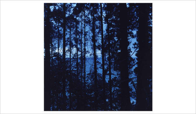 Yuichi Ikeda “Shimakaze” © Yuichi Ikeda　GSS フォトアワード優秀作品