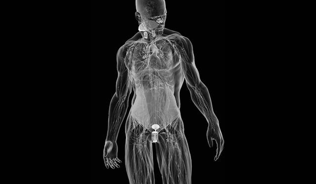 takram design engineering「Shenu：百年後の水筒」