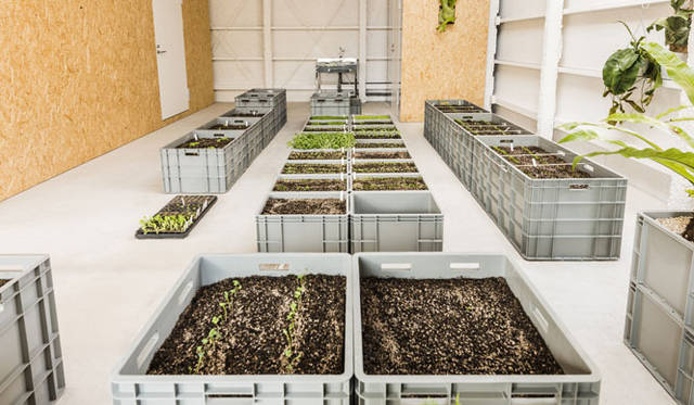 <strong>TAKAHASHI HIROKO｜高橋理子</strong>　 墨田区業平にオープンした新スタジオ 3階