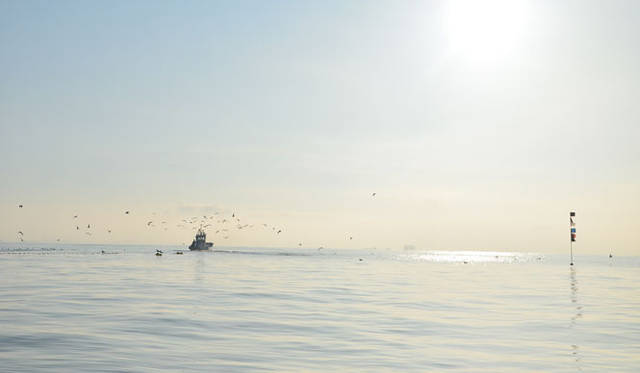 「自然と対話し、知恵、経験、創造力を発揮する一次産業は最もクリエイティブだ」（NPO法人東北開墾代表理事 高橋博之氏談）