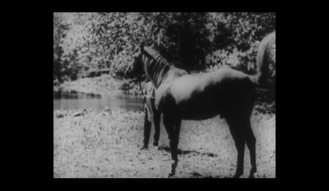 『香も高きケンタッキー』（ジョン・フォード監督／1925年／71分／24fps／35mm／無声／白黒)
