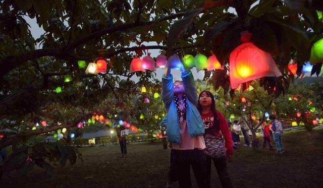 プログラムの『ひかりの実』髙橋匡太(十日市場駅～新治里山公演）