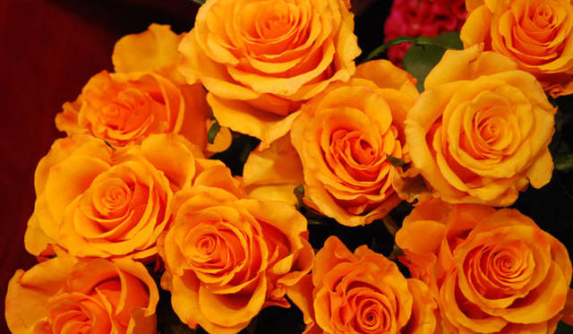 <strong>FLORALUXE｜フローラリュクス</strong>　“大人ハロウィン”2014はカナリアイエローとブラックで