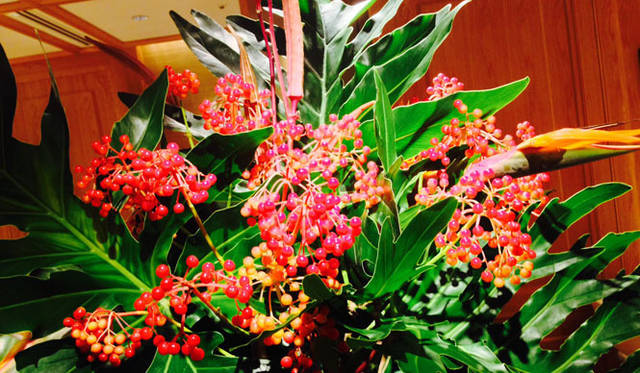 <strong>FLORALUXE｜フローラリュクス</strong>　“大人ハロウィン”2014はカナリアイエローとブラックで