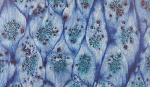 インテリアを楽しむための情報発信イベント「BAtoMA information」　インスタレーション「osmosis - 塩の浸透性-」