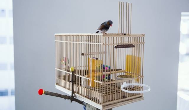 Savage structures by Tetsuro KonoPhoto by Dan Wilton/Red Bull Music Academy