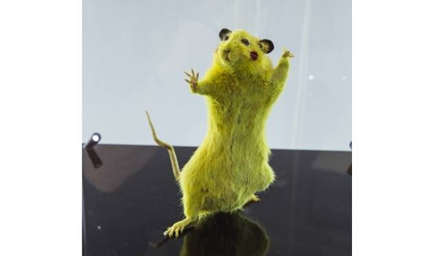 SUPER RAT by Chim↑Pom Photo by Dan Wilton/Red Bull Music Academy