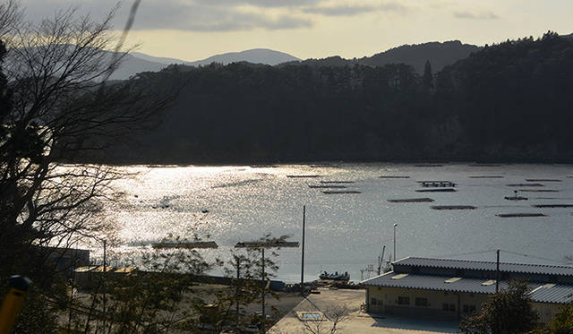 4月の日暮れは早い。弱くきらめく残照を反射した唐桑の海はどこまでも静かでおだやかだった