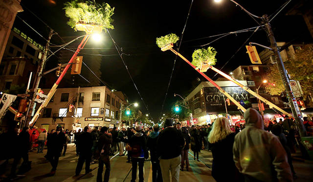 「Gap Ecology (Still Lives with Cherry Pickers and Palms) 」<br />クレーン車の上にパームツリーが出現。ギョッとする光景に自然やエコロジーを考えさせられる