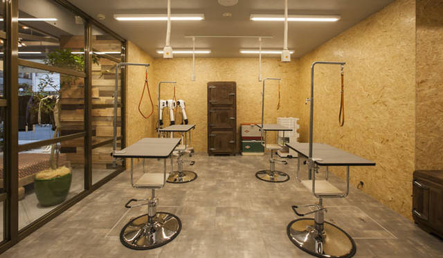 <strong>The TENT｜ザ テント</strong>　