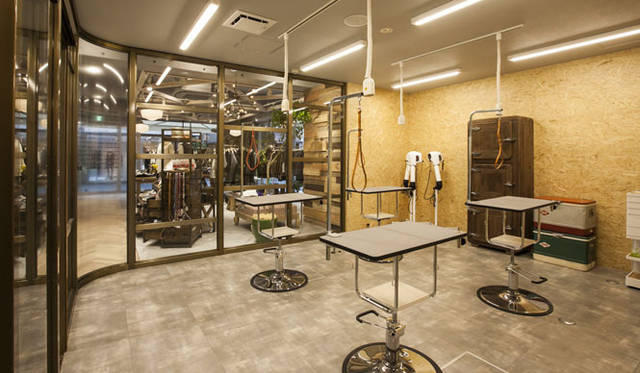 <strong>The TENT｜ザ テント</strong>　