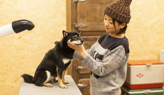 <strong>The TENT｜ザ テント</strong>　